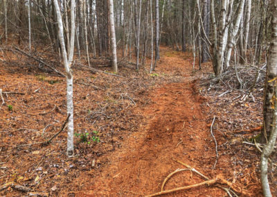 Emberglow Trail Clearing Progess