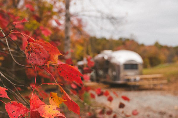 Fall foliage at Emberglow lake lure camping