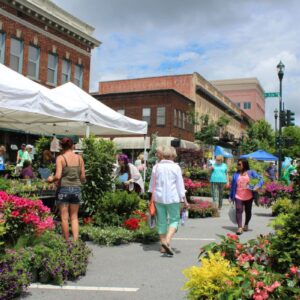 Garden Jubilee Historic Downtown Hendersonville NC Garden Event Local Nurserys