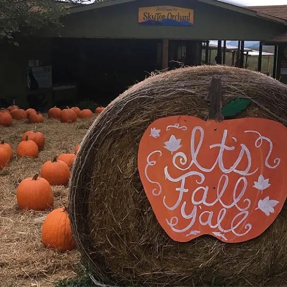 Sky Top Orchard Fall activities Hendersonville NC  