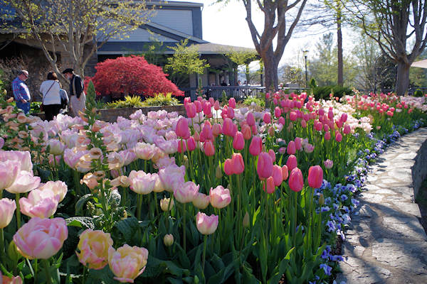 arboretum_spring