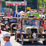 coon-dog-day-NC