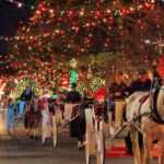 forest-city-carriage-ride