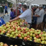 apple festival