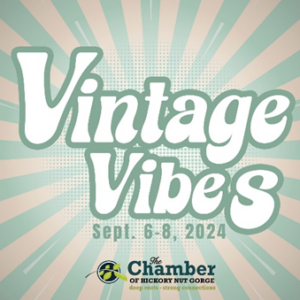 Vintage Vibes Festival Lake Lure NC Art Dance Festival Local Community Event Emberglow Outdoor Resort