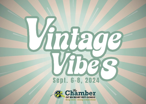 Vintage Vibes Festival Lake Lure NC Art Dance Festival Local Community Event Emberglow Outdoor Resort