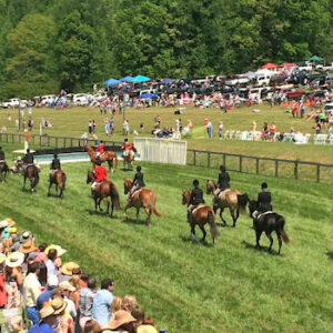 Tryon International Equestrian Center Green Creek Race Course Horse Race 76th Annual Block House Steeplechase